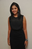 Anjali Photos